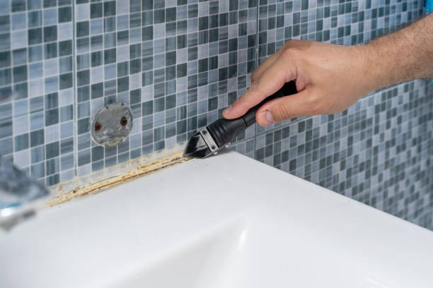 Best Preventive Mold Services in Bonnetsville, NC