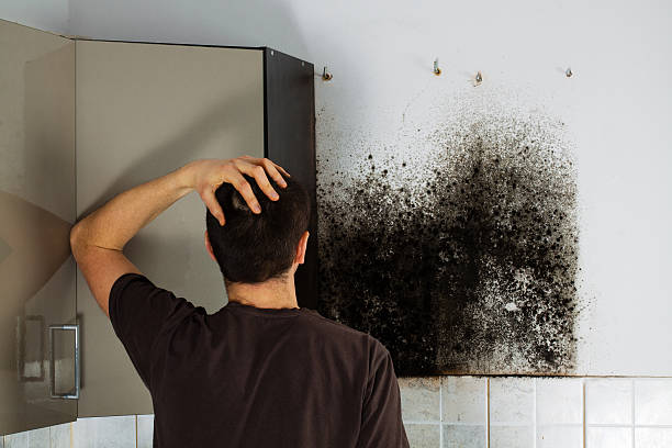 Best Bathroom Mold Remediation in Bonnetsville, NC